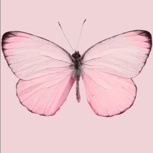 Meet your Posher, Susie